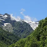 Les Myrtilles *