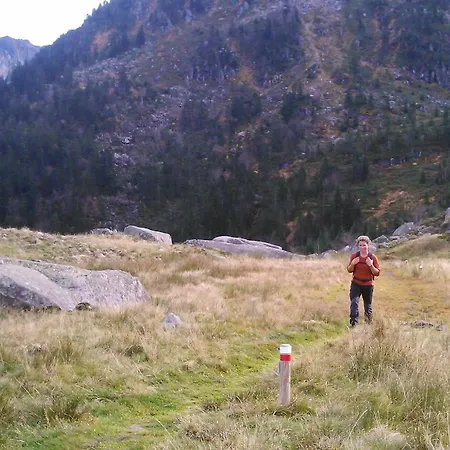 Les Myrtilles Couflens