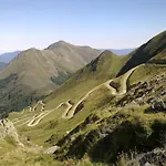 Les Myrtilles Couflens