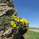 Fogadó Les Myrtilles *