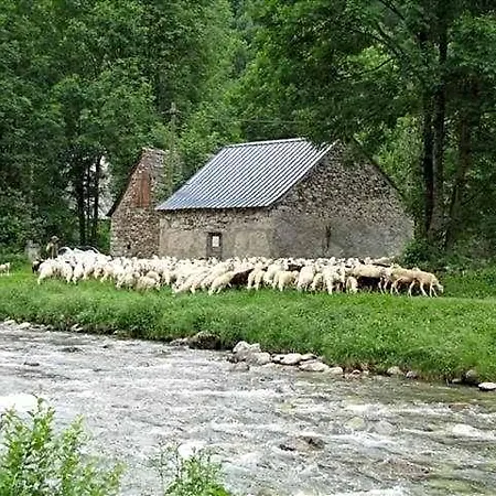 Les Myrtilles Couflens