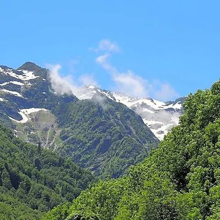 Les Myrtilles *