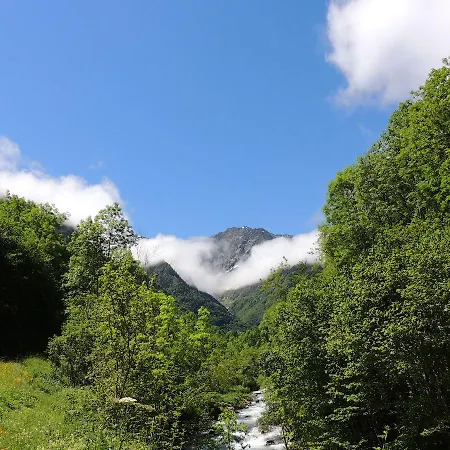 Les Myrtilles * Couflens