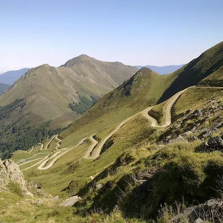 Les Myrtilles Couflens