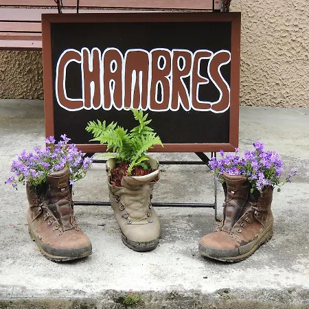 Les Myrtilles * Couflens