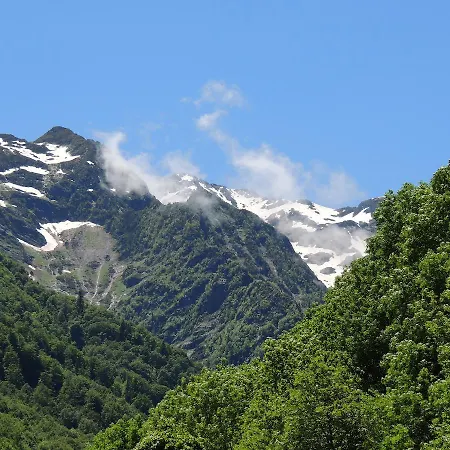 Les Myrtilles *