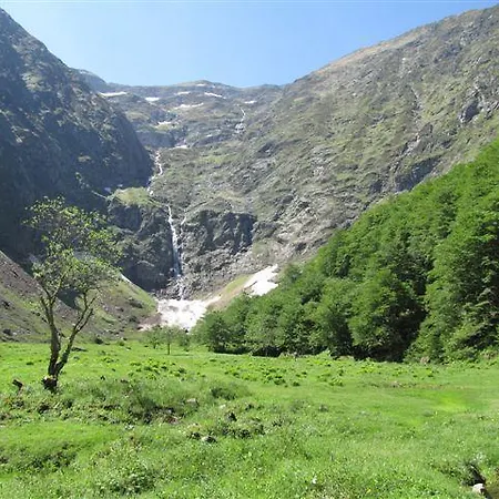 Les Myrtilles * Couflens
